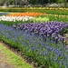 Keukenhof 23-04-2009 537