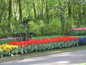 Keukenhof 23-04-2009 539