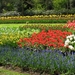 Keukenhof 23-04-2009 541