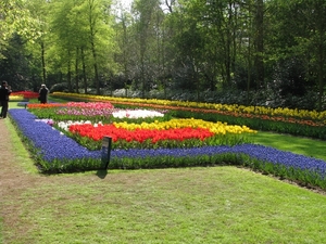 Keukenhof 23-04-2009 543