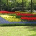 Keukenhof 23-04-2009 547