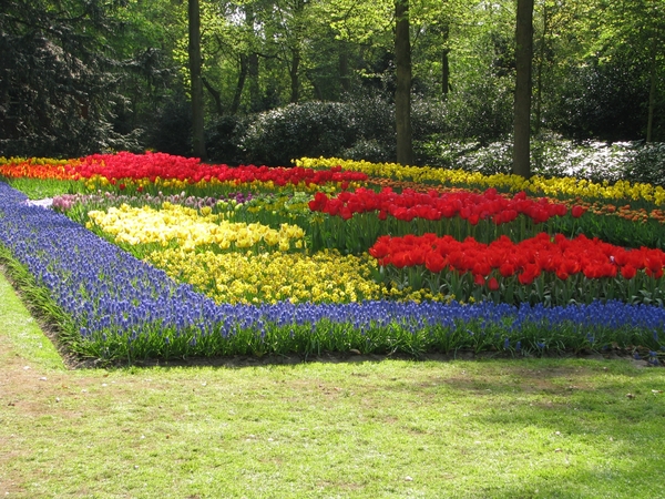 Keukenhof 23-04-2009 547