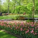 Keukenhof 23-04-2009 555