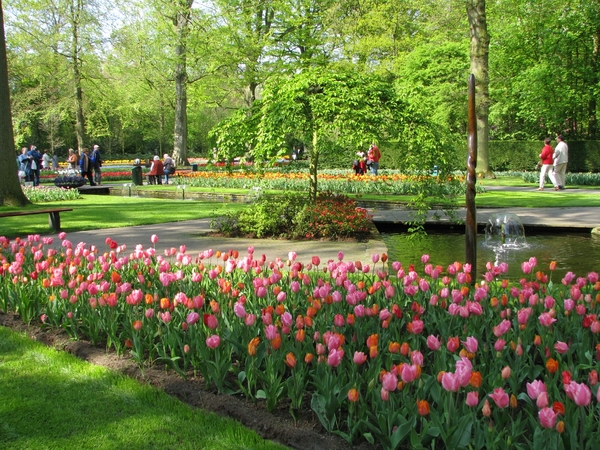 Keukenhof 23-04-2009 555