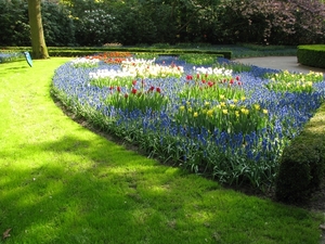 Keukenhof 23-04-2009 556