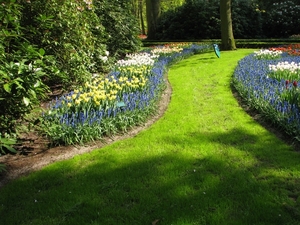 Keukenhof 23-04-2009 557