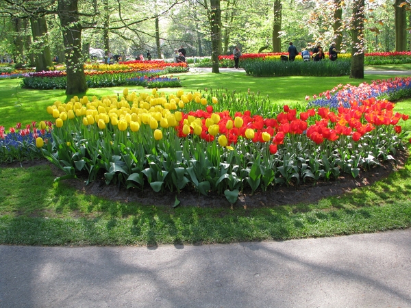 Keukenhof 23-04-2009 559