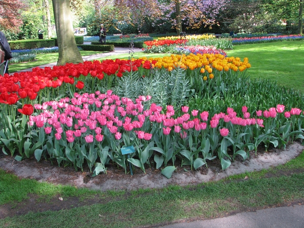 Keukenhof 23-04-2009 560