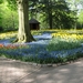 Keukenhof 23-04-2009 561