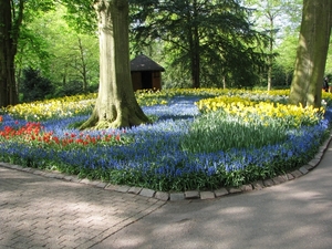 Keukenhof 23-04-2009 561