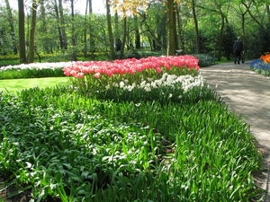 Keukenhof 23-04-2009 562