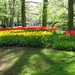 Keukenhof 23-04-2009 563