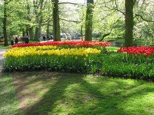 Keukenhof 23-04-2009 563