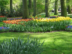 Keukenhof 23-04-2009 564