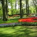 Keukenhof 23-04-2009 565