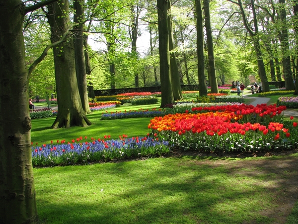 Keukenhof 23-04-2009 565