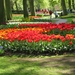 Keukenhof 23-04-2009 566