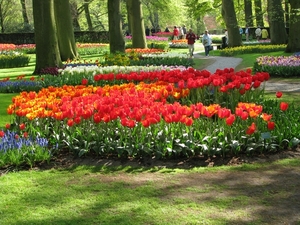 Keukenhof 23-04-2009 566