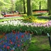 Keukenhof 23-04-2009 567