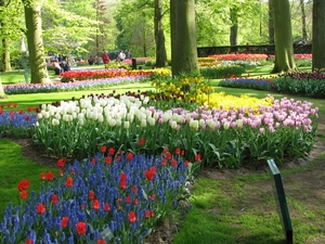 Keukenhof 23-04-2009 567