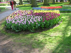 Keukenhof 23-04-2009 568