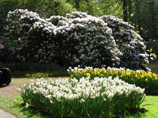 Keukenhof 23-04-2009 573
