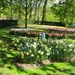 Keukenhof 23-04-2009 574