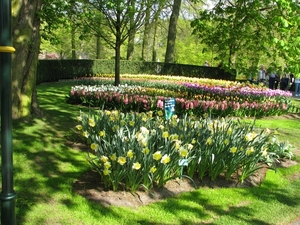 Keukenhof 23-04-2009 574