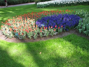 Keukenhof 23-04-2009 577