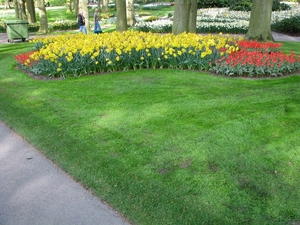 Keukenhof 23-04-2009 579