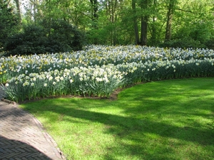 Keukenhof 23-04-2009 583