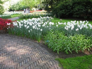 Keukenhof 23-04-2009 586