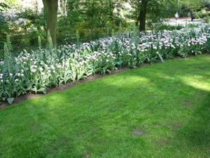 Keukenhof 23-04-2009 587