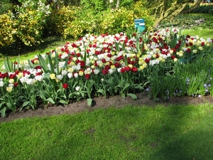 Keukenhof 23-04-2009 594