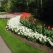 Keukenhof 23-04-2009 597