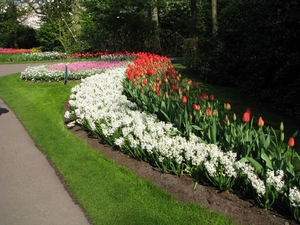 Keukenhof 23-04-2009 597