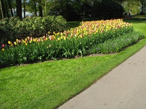 Keukenhof 23-04-2009 600