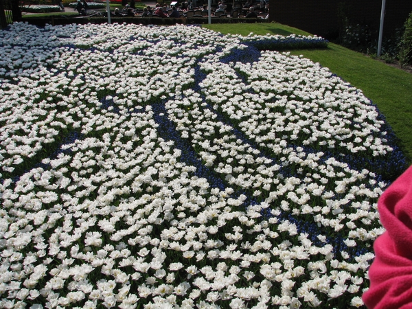 Keukenhof 23-04-2009 603