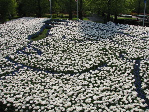 Keukenhof 23-04-2009 605