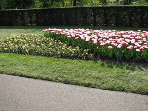 Keukenhof 23-04-2009 608