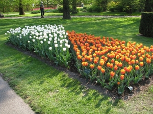 Keukenhof 23-04-2009 609