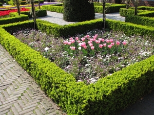 Keukenhof 23-04-2009 613