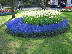 Keukenhof 23-04-2009 631