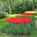 Keukenhof 23-04-2009 249