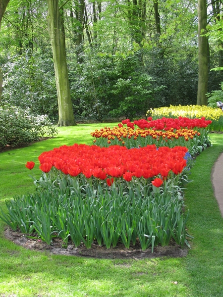 Keukenhof 23-04-2009 249