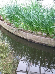 Keukenhof 23-04-2009 254