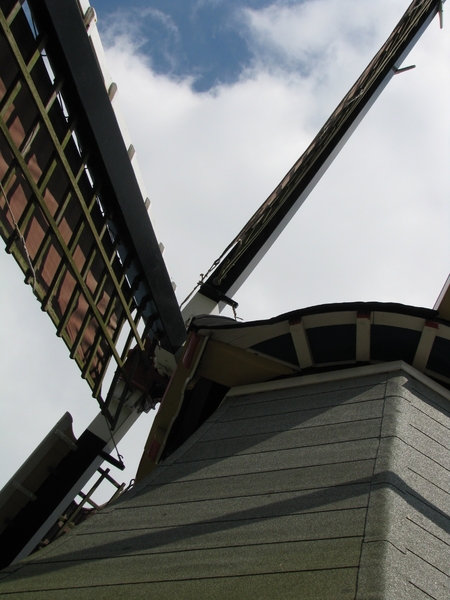 Keukenhof 23-04-2009 388