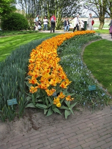 Keukenhof 23-04-2009 393