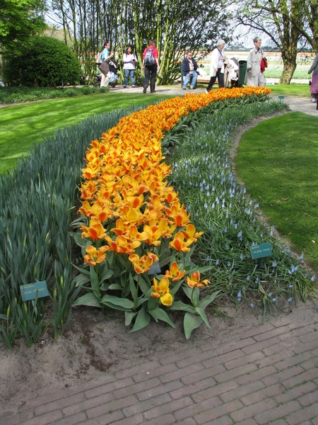 Keukenhof 23-04-2009 393