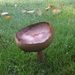 Paddestoelen (35)